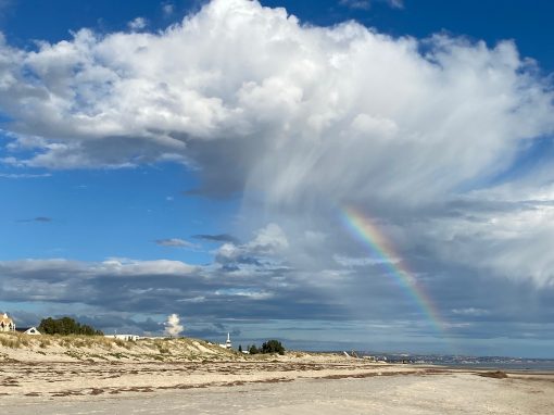 Beach Musings 1